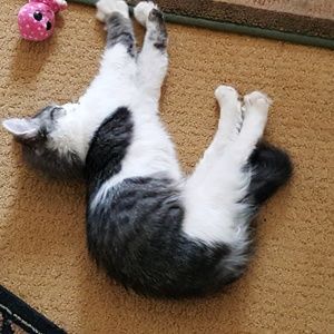 Meet your Posher, Allyson